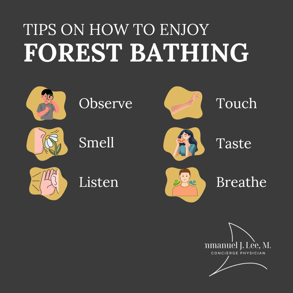 Infographic: Forest Bathing Near Me: Where to Try Shinrin-Yoku in Austin (2025 Guide)